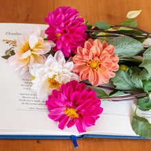 Dahlia 'Watercolor Mix' - S2