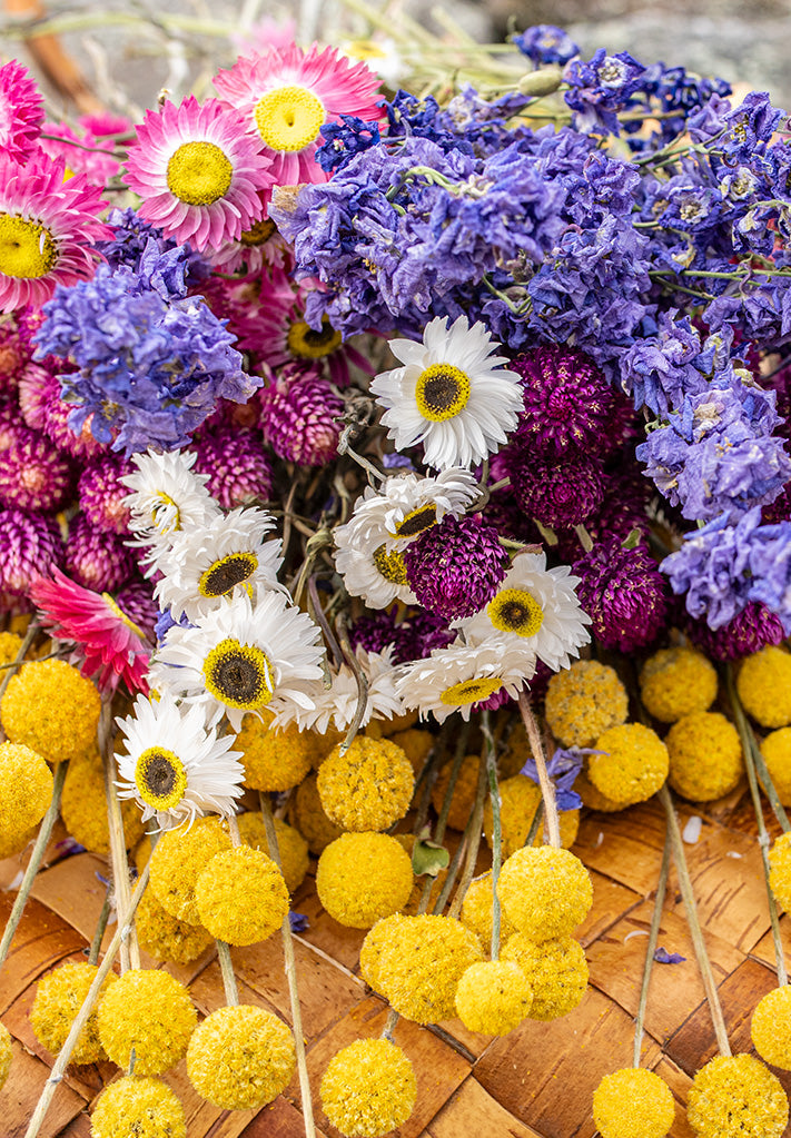 Flowers for Dried Arrangements
